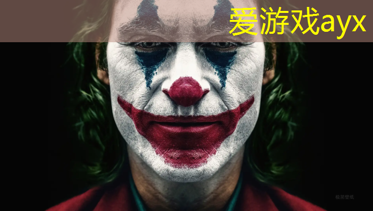 爱游戏ayx,室内健身小工具名称有哪些
